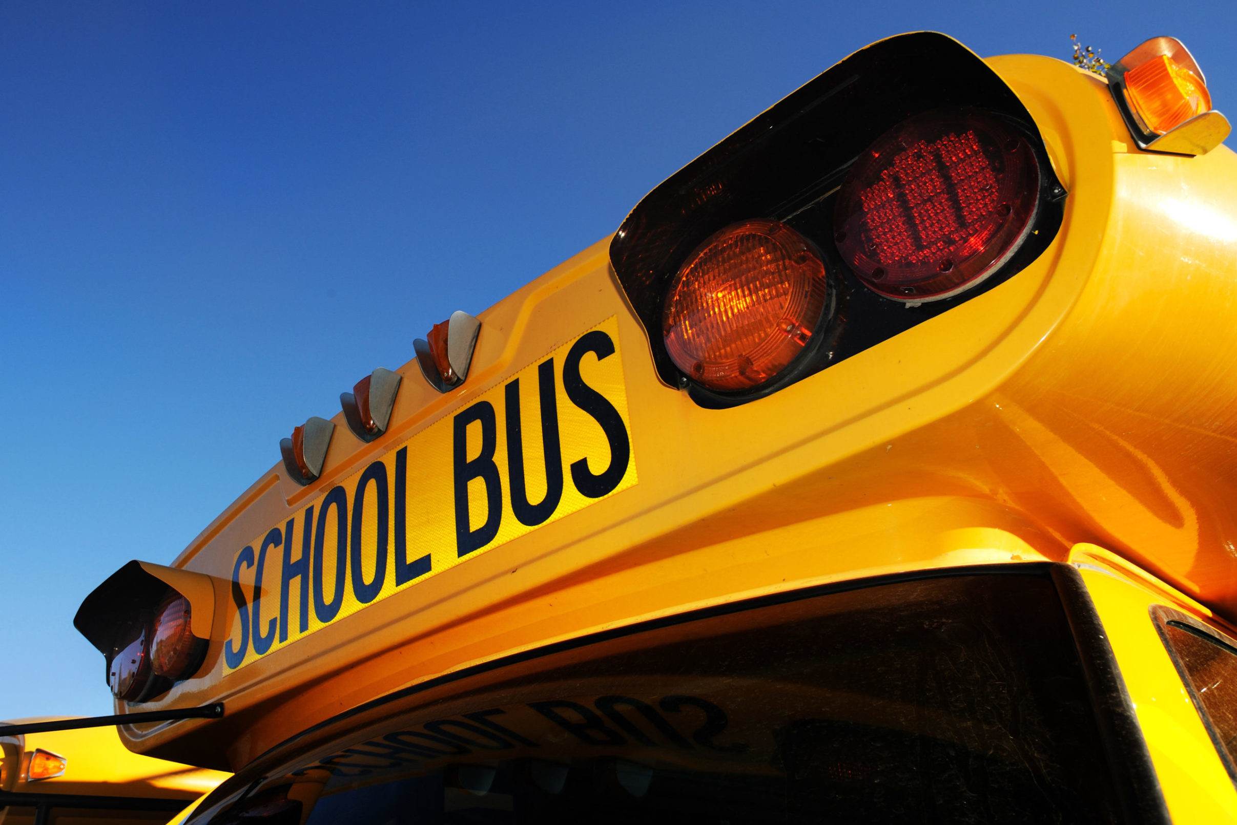 location school bus americain