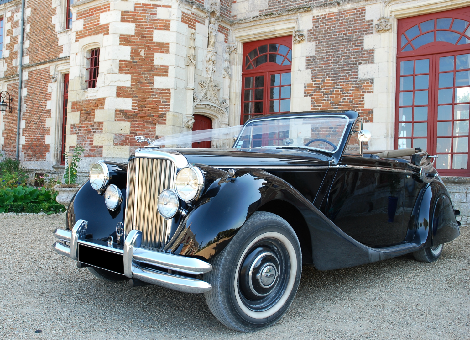 Jaguar Mark 5 Cabriolet 1950