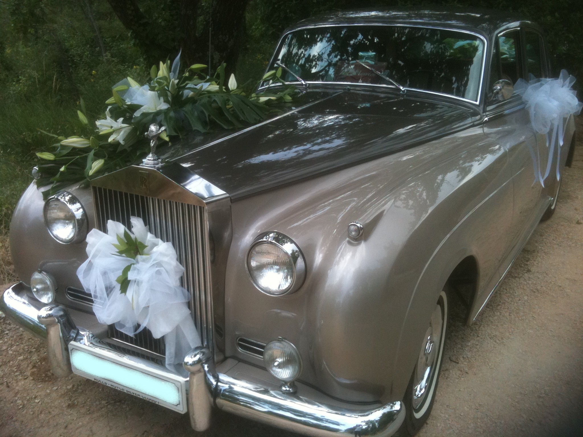 Rolls Royce Silver Cloud 1959